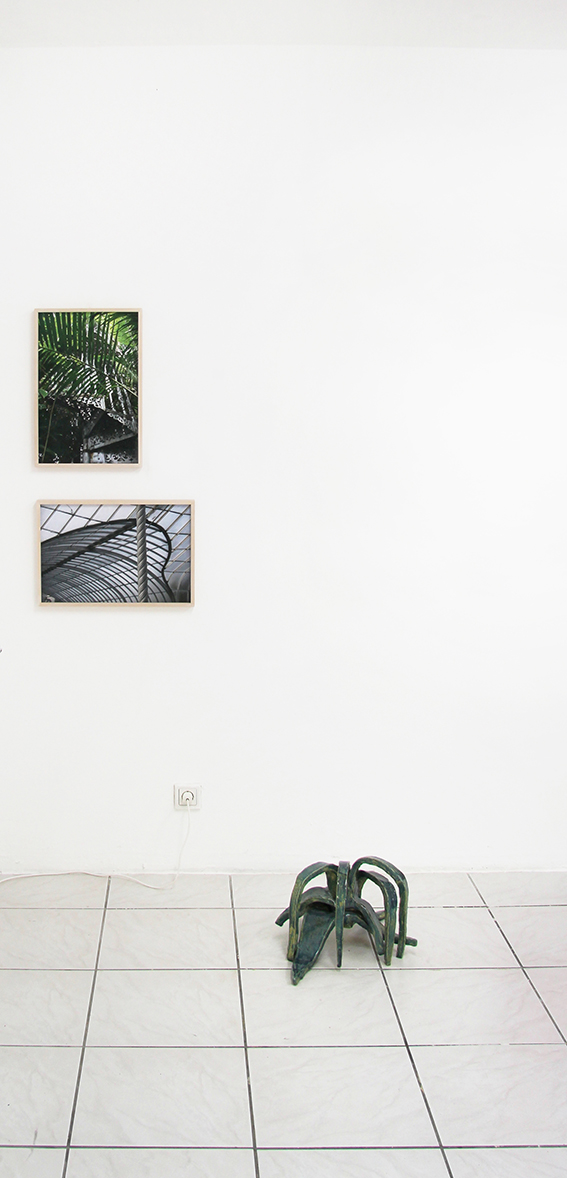 paterok/botanics