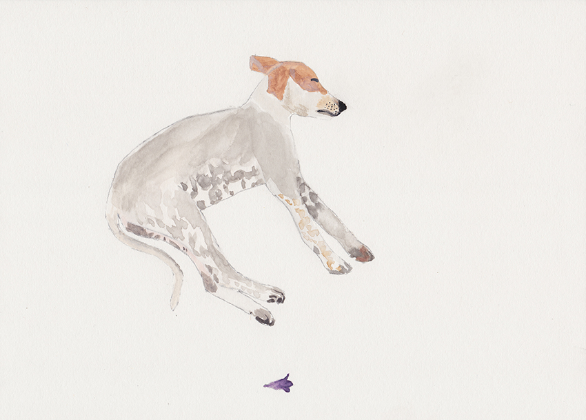 paterok/lazydog