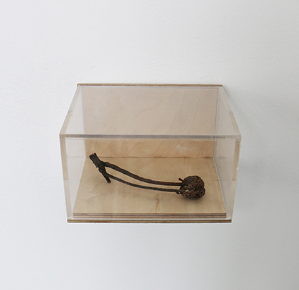 paterok/untitled_II_2015